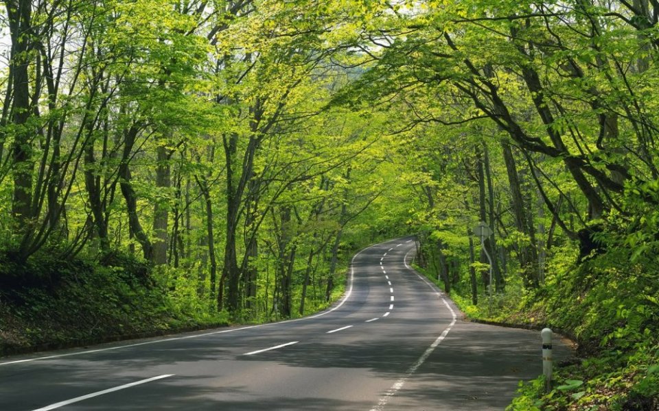 作品欣赏（一） (9).jpg